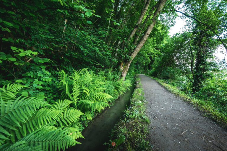 Der Maiser Waalweg Wanderung Von Saltaus Nach Meran