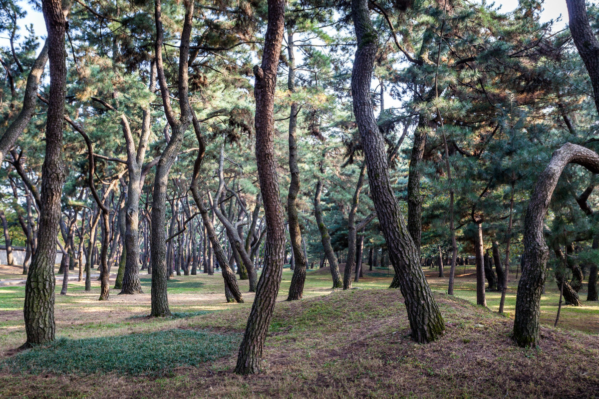 Gyeongju-Südkorea-5