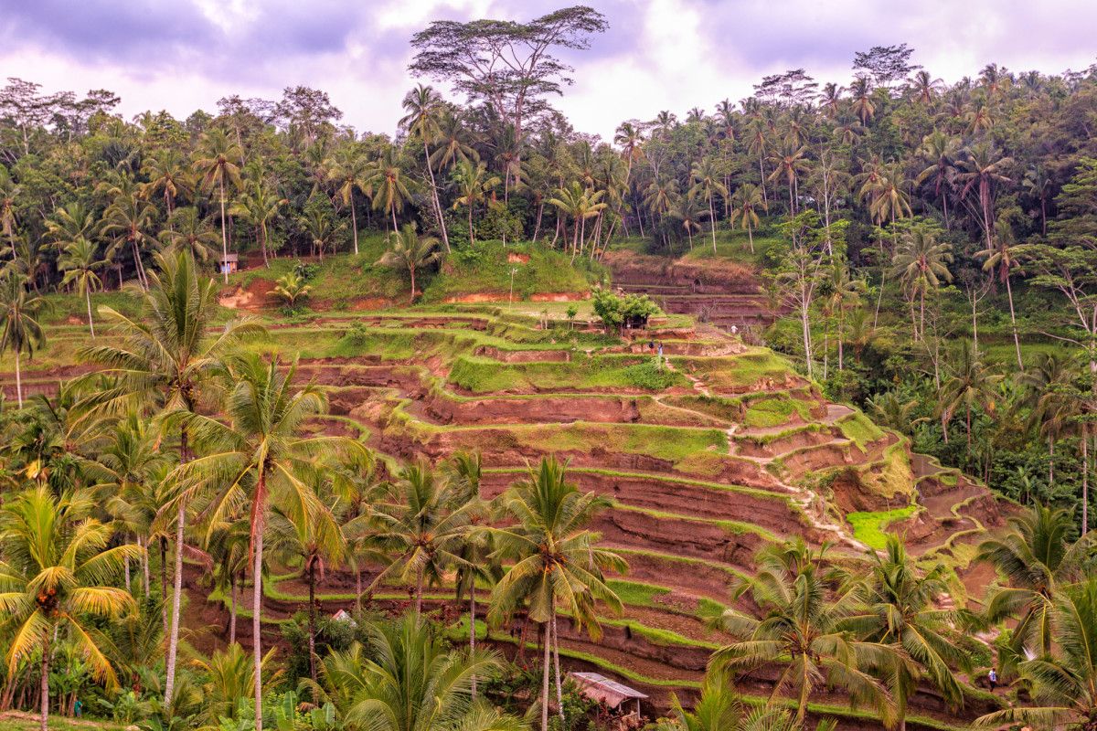 Kuta-Ubud-Bali-34