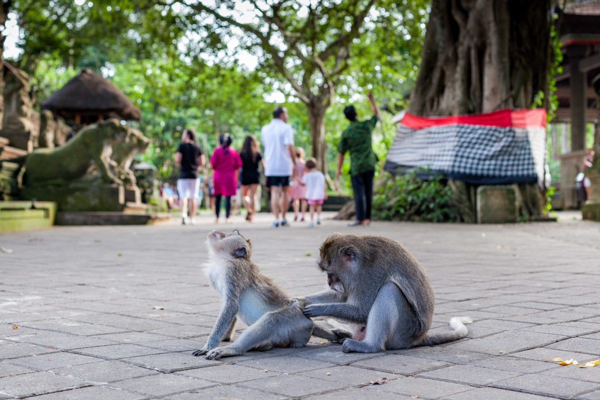 Kuta-Ubud-Bali-4