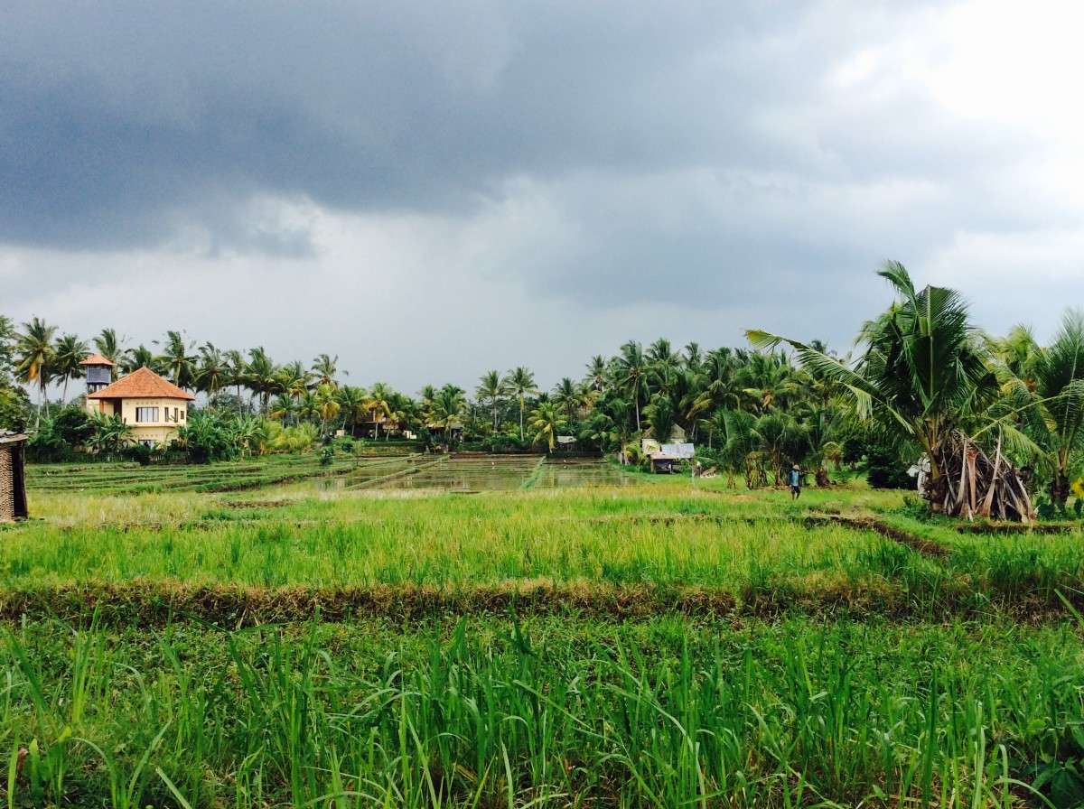 Kuta-Ubud-Bali-88