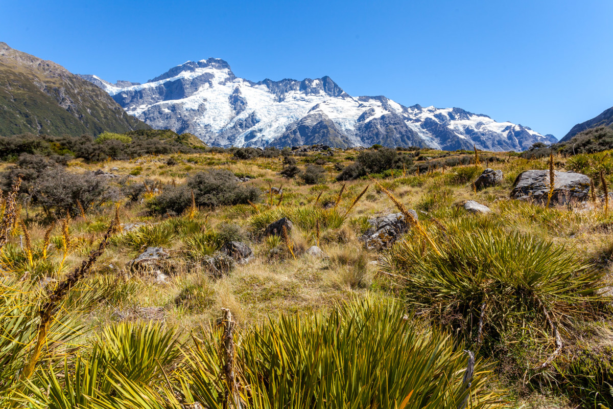 Mount-Cook-Neuseeland-12