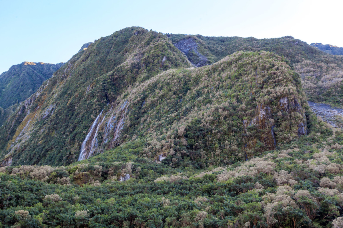 Fox-Glacier-Franz-Josef-Glacier-Neuseeland-14