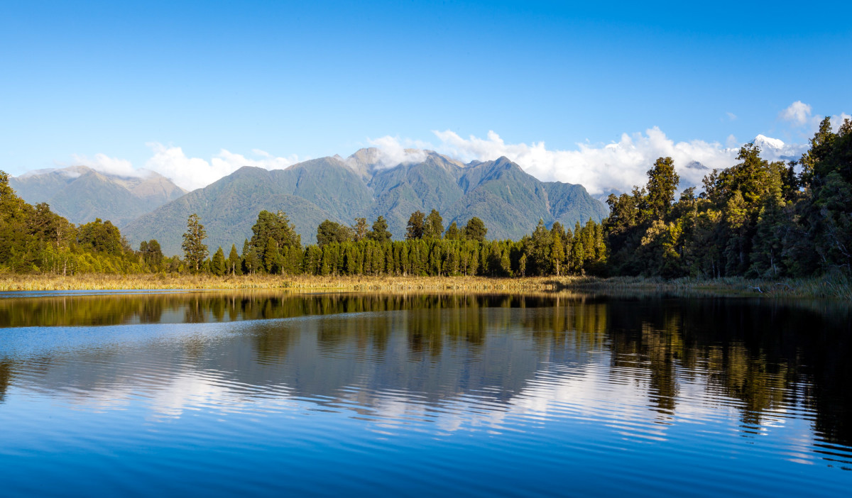 Fox-Glacier-Franz-Josef-Glacier-Neuseeland-5