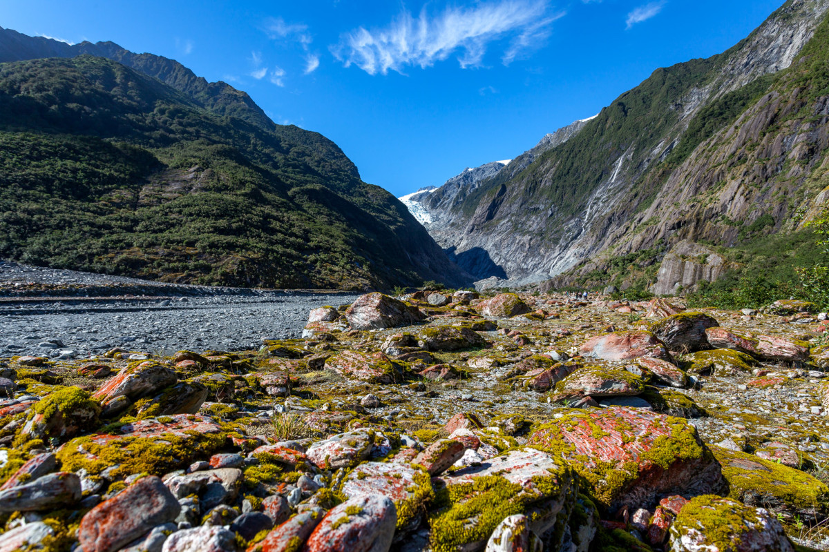 Fox-Glacier-Franz-Josef-Glacier-Neuseeland-16