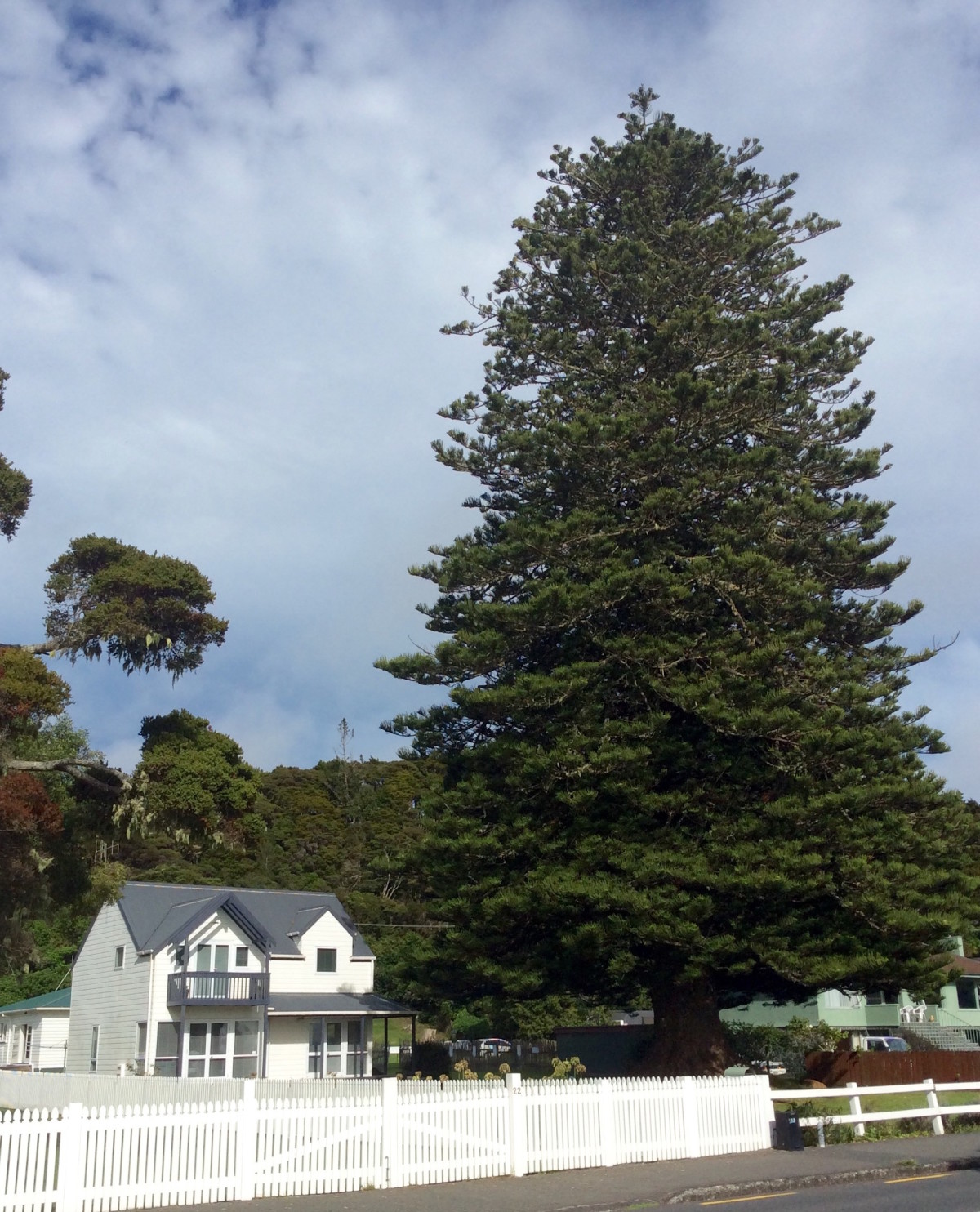 Paihia-Neuseeland-3