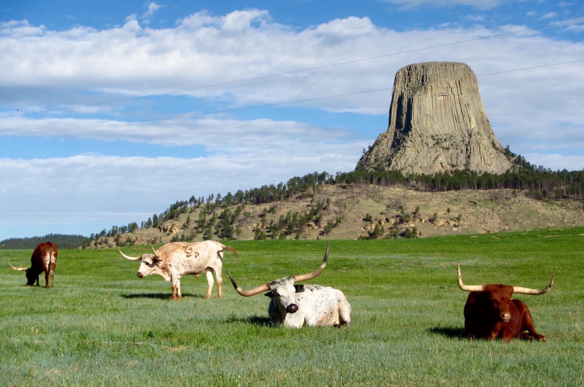 Devils-Tower-Wyoming-USA-16