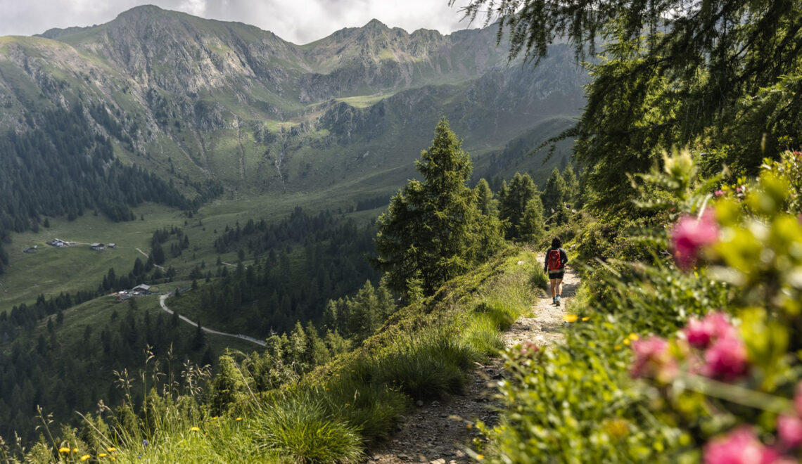 Der Hirzer Almenweg – Rundwanderung im Meraner Land